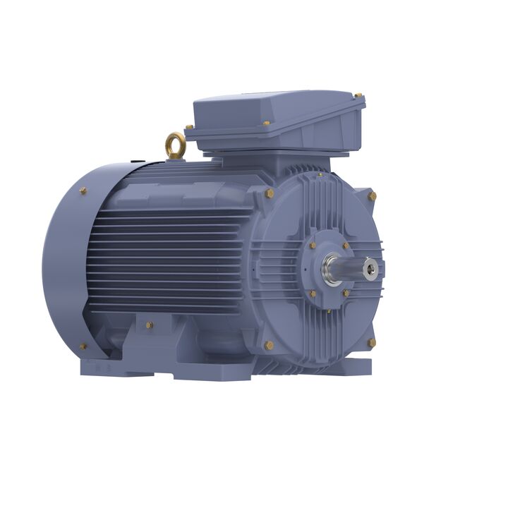 Cast Iron Motor, 150 HP, 3 Ph, 50 Hz, 380 V, 1000 RPM, 315L Frame, TEFC