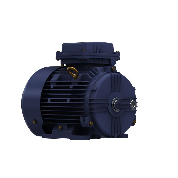 Cast Iron Motor, 2 HP, 3 Ph, 50 Hz, 400 V, 1000 RPM, 100L Frame, TEFC