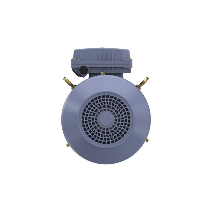 Cast Iron Motor, 4 HP, 3 Ph, 50 Hz, 400 V, 3000 RPM, 100L Frame, TEFC