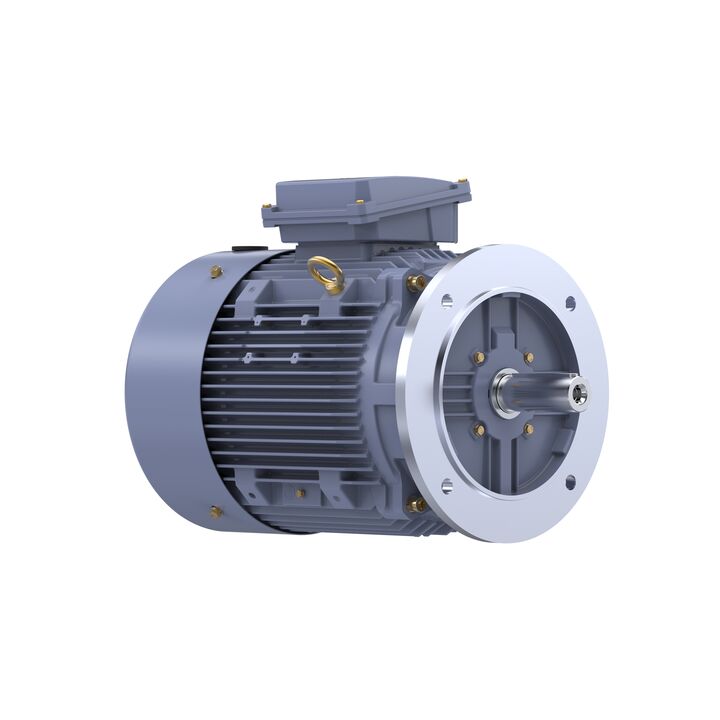 Cast Iron Motor, 15 HP, 3 Ph, 50 Hz, 400 V, 1000 RPM, 160L Frame, TEFC