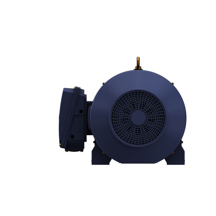 Cast Iron Motor, 270 HP, 3 Ph, 50 Hz, 380 V, 3000 RPM, 315L Frame, TEFC