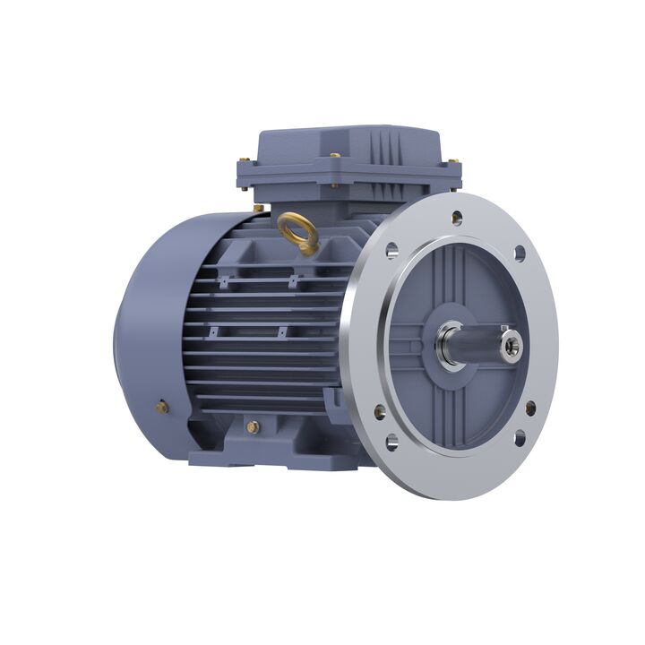 Cast Iron Motor, 4 HP, 3 Ph, 50 Hz, 400 V, 3000 RPM, 100L Frame, TEFC