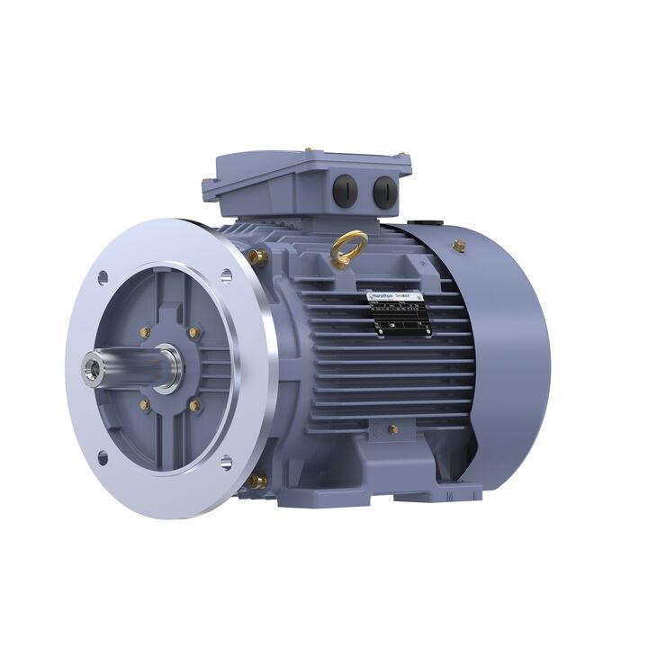 Cast Iron Motor, 15 HP, 3 Ph, 50 Hz, 400 V, 1500 RPM, 160M Frame, TEFC