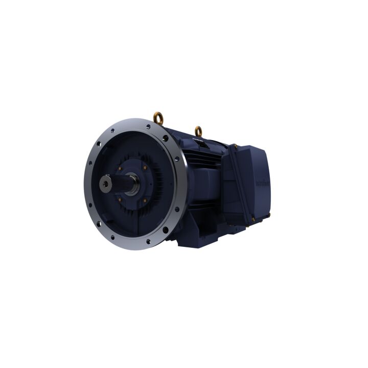 Cast Iron Motor, 270 HP, 3 Ph, 50 Hz, 380 V, 3000 RPM, 315L Frame, TEFC