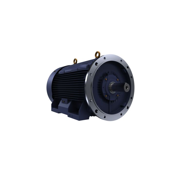 Cast Iron Motor, 270 HP, 3 Ph, 50 Hz, 380 V, 3000 RPM, 315L Frame, TEFC