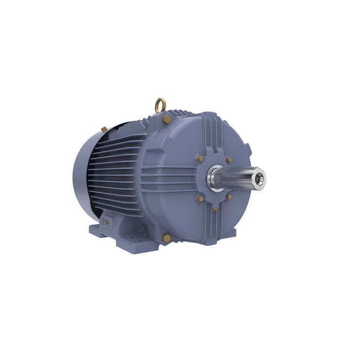 Cast Iron Motor, 15 HP, 3 Ph, 50 Hz, 400 V, 1000 RPM, 160L Frame, TEFC