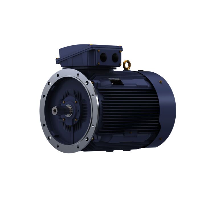 Cast Iron Motor, 270 HP, 3 Ph, 50 Hz, 400 V, 1500 RPM, 315L Frame, TEFC