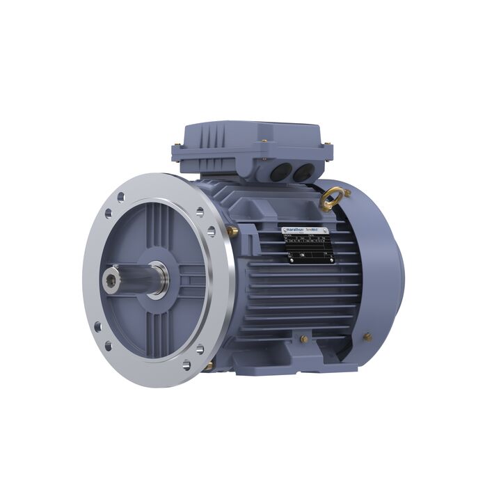 Cast Iron Motor, 7.50 HP, 3 Ph, 50 Hz, 380 V, 1500 RPM, 132S Frame, TEFC