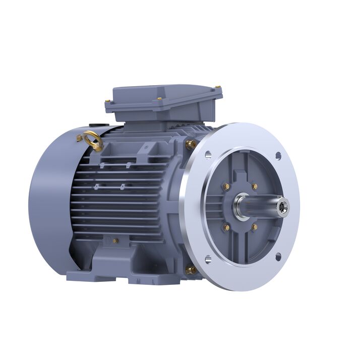 Cast Iron Motor, 15 HP, 3 Ph, 50 Hz, 400 V, 1000 RPM, 160L Frame, TEFC