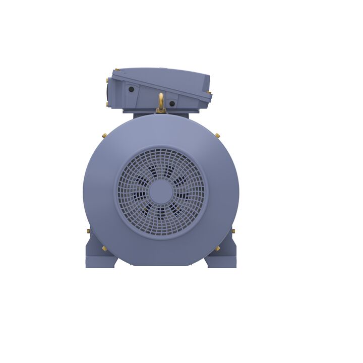 Cast Iron Motor, 150 HP, 3 Ph, 50 Hz, 380 V, 1000 RPM, 315L Frame, TEFC