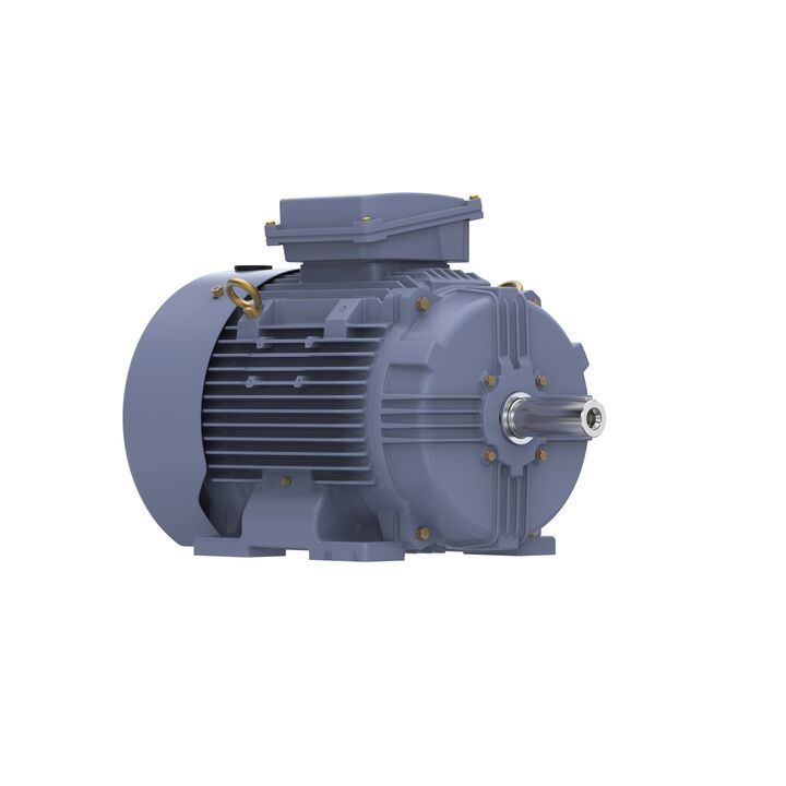 Cast Iron Motor, 15 HP, 3 Ph, 50 Hz, 400 V, 1000 RPM, 160L Frame, TEFC