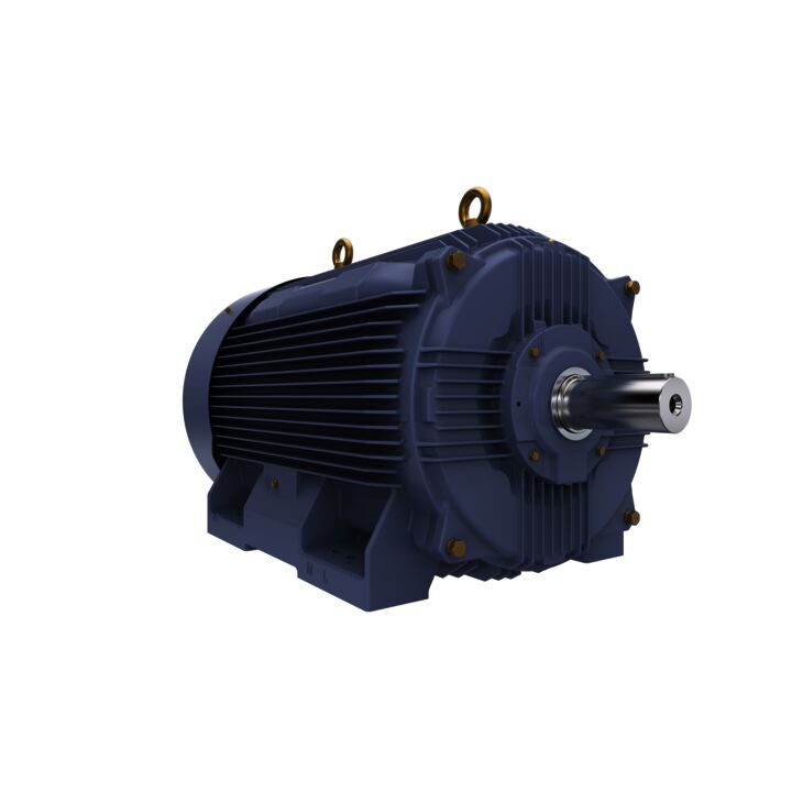 Cast Iron Motor, 270 HP, 3 Ph, 50 Hz, 380 V, 3000 RPM, 315L Frame, TEFC