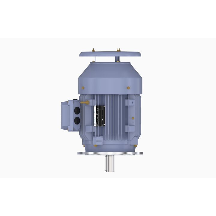 Cast Iron Motor, 7.50 HP, 3 Ph, 50 Hz, 400 V, 1500 RPM, 132S Frame, TEFC