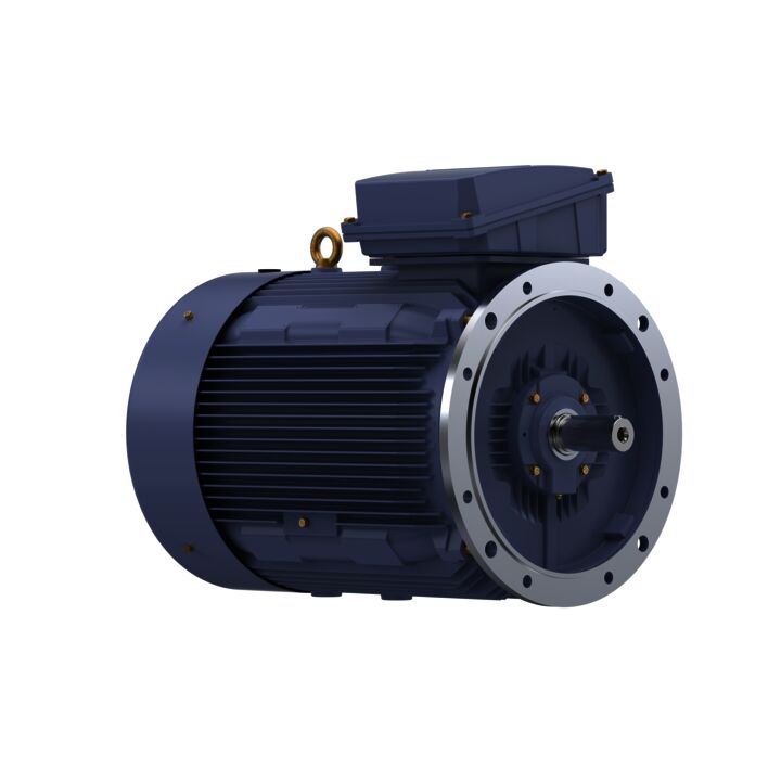 Cast Iron Motor, 270 HP, 3 Ph, 50 Hz, 400 V, 1500 RPM, 315L Frame, TEFC