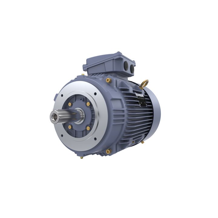Cast Iron Motor, 15 HP, 3 Ph, 50 Hz, 400 V, 1500 RPM, 160M Frame, TEFC