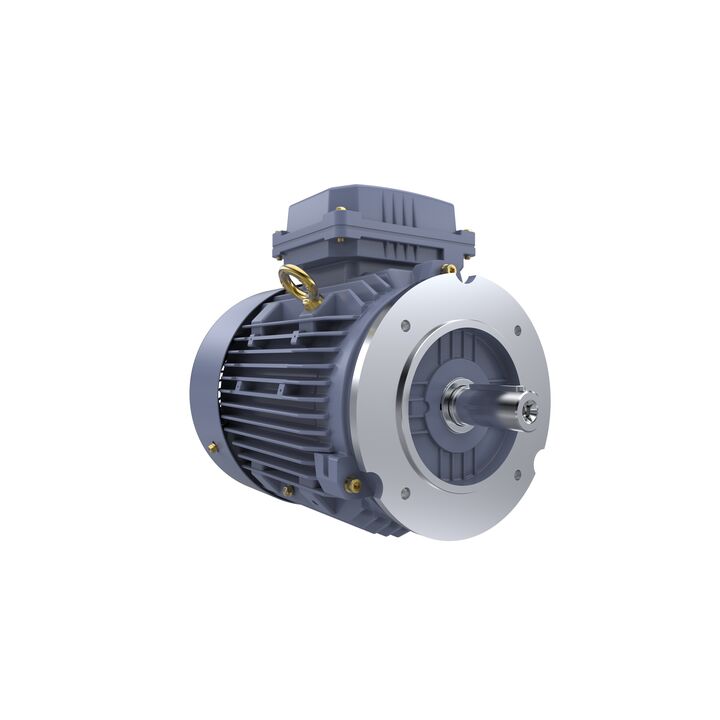 Cast Iron Motor, 4 HP, 3 Ph, 50 Hz, 400 V, 3000 RPM, 100L Frame, TEFC