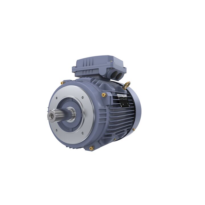Cast Iron Motor, 7.50 HP, 3 Ph, 50 Hz, 400 V, 1500 RPM, 132S Frame, TEFC
