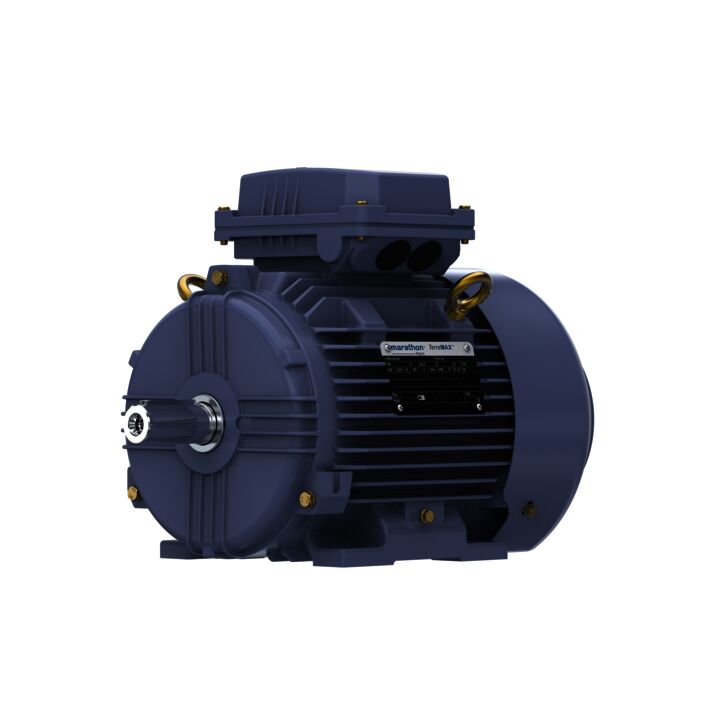 Cast Iron Motor, 2 HP, 3 Ph, 50 Hz, 400 V, 1000 RPM, 100L Frame, TEFC