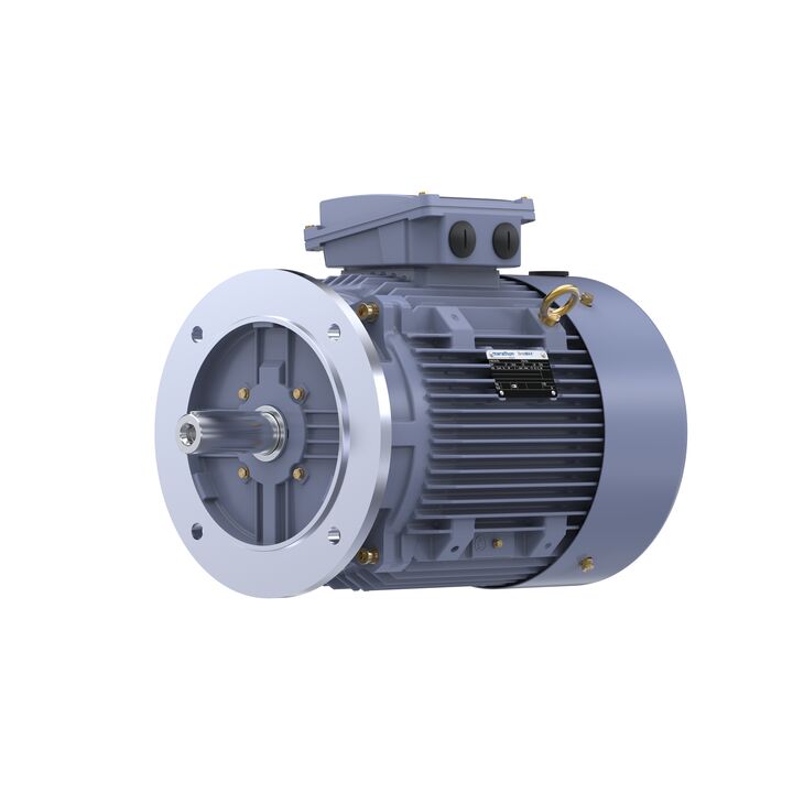 Cast Iron Motor, 15 HP, 3 Ph, 50 Hz, 400 V, 3000 RPM, 160M Frame, TEFC