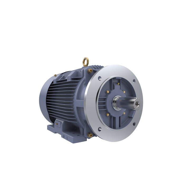 Cast Iron Motor, 15 HP, 3 Ph, 50 Hz, 400 V, 750 RPM, 180L Frame, TEFC