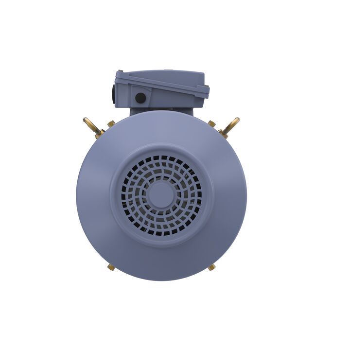 Cast Iron Motor, 15 HP, 3 Ph, 50 Hz, 400 V, 1000 RPM, 160L Frame, TEFC