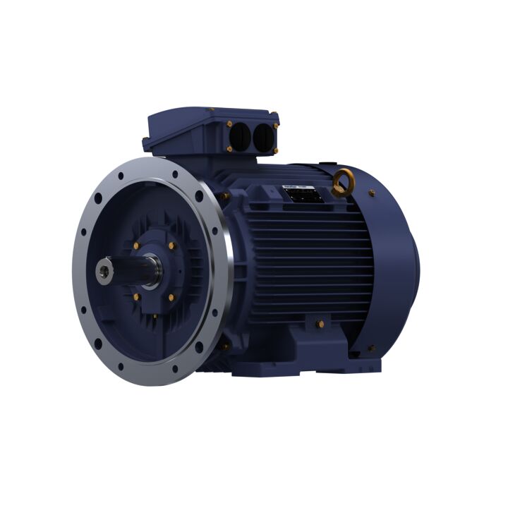 Cast Iron Motor, 30 HP, 3 Ph, 50 Hz, 380 V, 1000 RPM, 200L Frame, TEFC