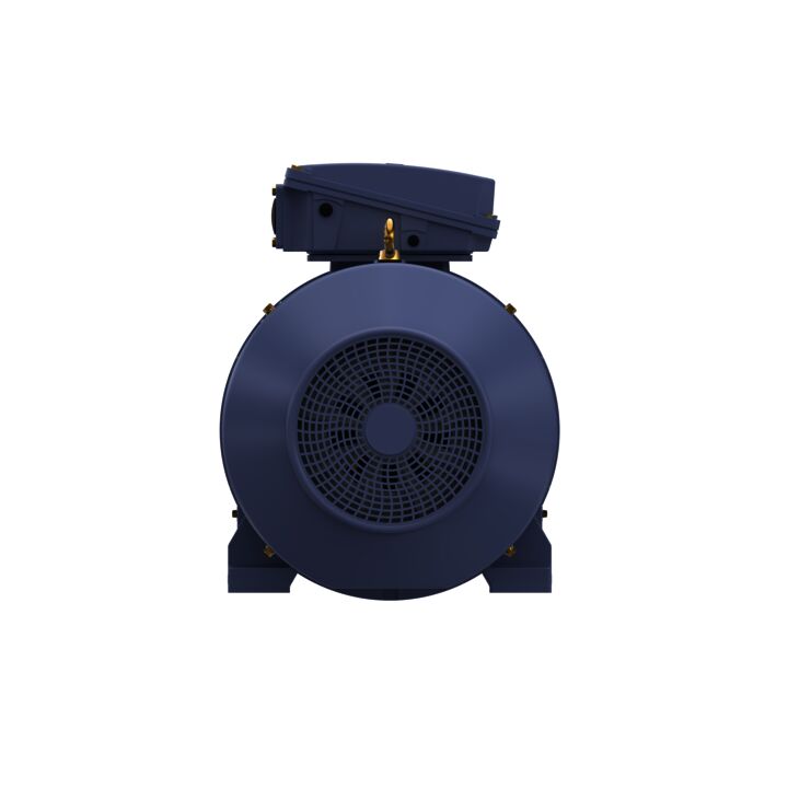 Cast Iron Motor, 270 HP, 3 Ph, 50 Hz, 380 V, 3000 RPM, 315L Frame, TEFC