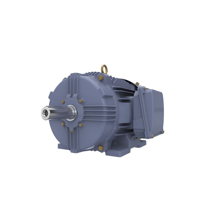 Cast Iron Motor, 15 HP, 3 Ph, 50 Hz, 400 V, 1500 RPM, 160M Frame, TEFC