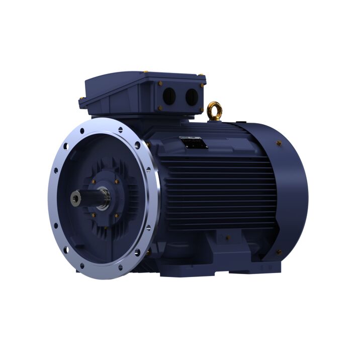 Cast Iron Motor, 270 HP, 3 Ph, 50 Hz, 380 V, 3000 RPM, 315L Frame, TEFC