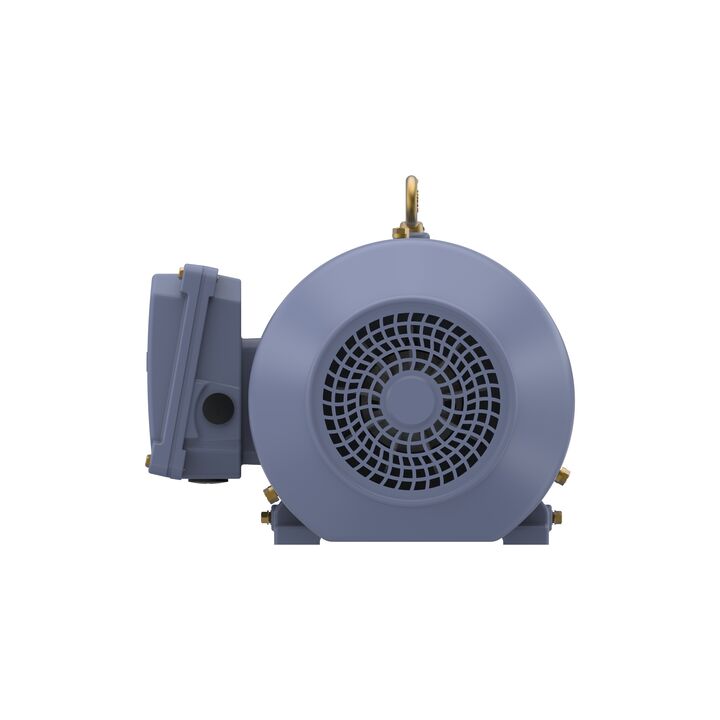 Cast Iron Motor, 4 HP, 3 Ph, 50 Hz, 400 V, 3000 RPM, 100L Frame, TEFC