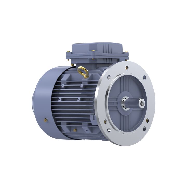 Cast Iron Motor, 4 HP, 3 Ph, 50 Hz, 400 V, 3000 RPM, 100L Frame, TEFC