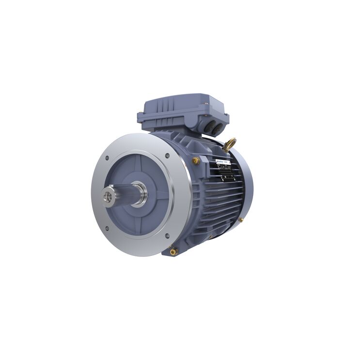 Cast Iron Motor, 10 HP, 3 Ph, 50 Hz, 400 V, 3000 RPM, 132S Frame, TEFC