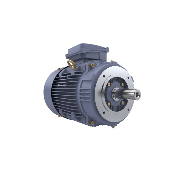 Cast Iron Motor, 15 HP, 3 Ph, 50 Hz, 400 V, 1000 RPM, 160L Frame, TEFC