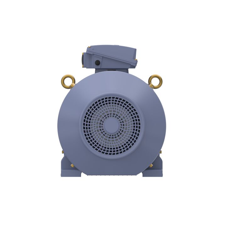 Cast Iron Motor, 75 HP, 3 Ph, 50 Hz, 400 V, 1500 RPM, 250M Frame, TEFC