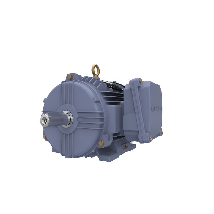 Cast Iron Motor, 1.50 HP, 3 Ph, 50 Hz, 380 V, 1500 RPM, 90S Frame, TEFC