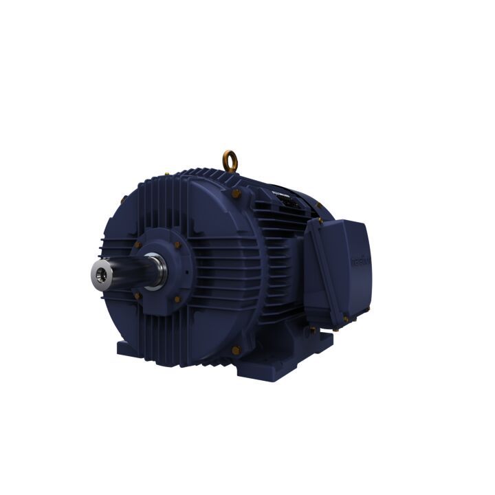 Cast Iron Motor, 30 HP, 3 Ph, 50 Hz, 400 V, 750 RPM, 225M Frame, TEFC