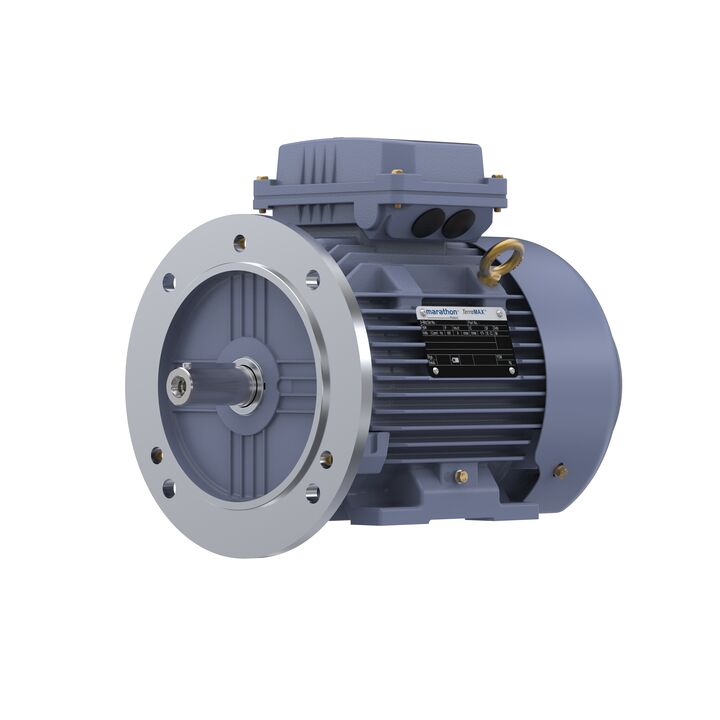Cast Iron Motor, 1.50 HP, 3 Ph, 50 Hz, 400 V, 1500 RPM, 90S Frame, TEFC