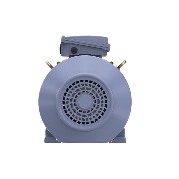Cast Iron Motor, 15 HP, 3 Ph, 50 Hz, 400 V, 1000 RPM, 160L Frame, TEFC
