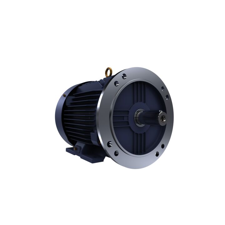 Cast Iron Motor, 7.50 HP, 3 Ph, 50 Hz, 400 V, 1500 RPM, 132S Frame, TEFC