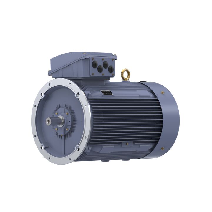 Cast Iron Motor, 335 HP, 3 Ph, 50 Hz, 380 V, 1000 RPM, 355L Frame, TEFC