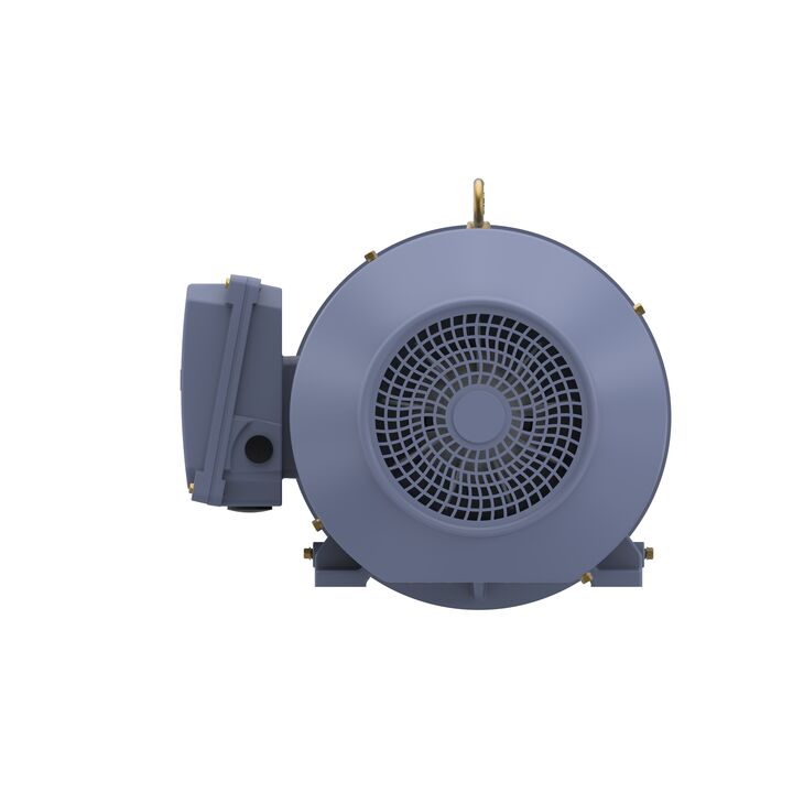 Cast Iron Motor, 7.50 HP, 3 Ph, 50 Hz, 380 V, 1500 RPM, 132S Frame, TEFC