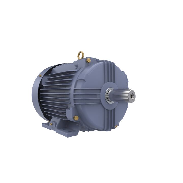 Cast Iron Motor, 7.50 HP, 3 Ph, 50 Hz, 400 V, 1500 RPM, 132S Frame, TEFC
