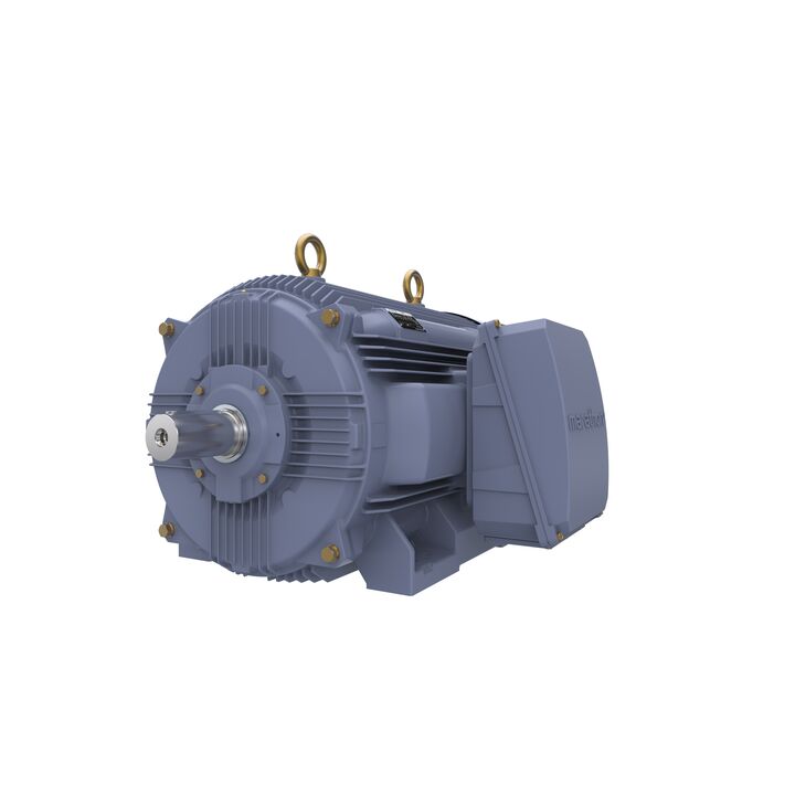 Cast Iron Motor, 335 HP, 3 Ph, 50 Hz, 380 V, 1000 RPM, 355L Frame, TEFC