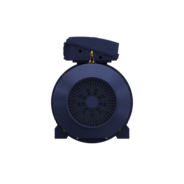 Cast Iron Motor, 425 HP, 3 Ph, 50 Hz, 400 V, 1500 RPM, 355L Frame, TEFC