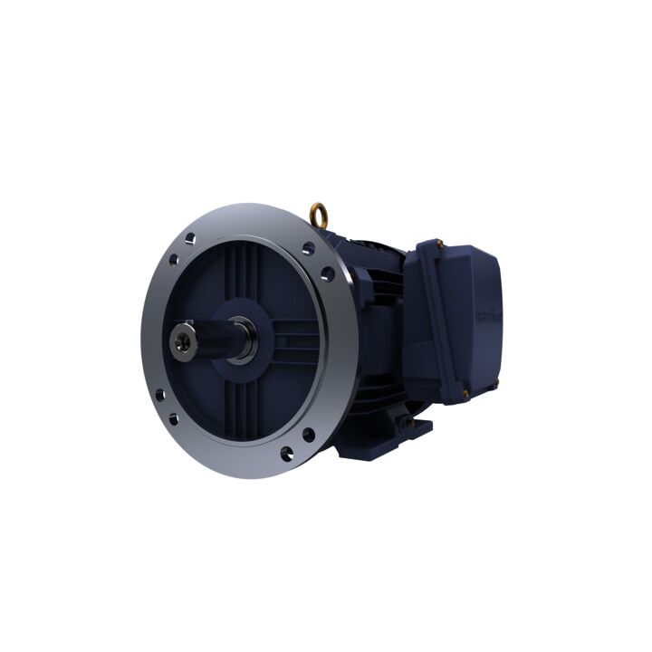 Cast Iron Motor, 7.50 HP, 3 Ph, 50 Hz, 400 V, 1500 RPM, 132S Frame, TEFC