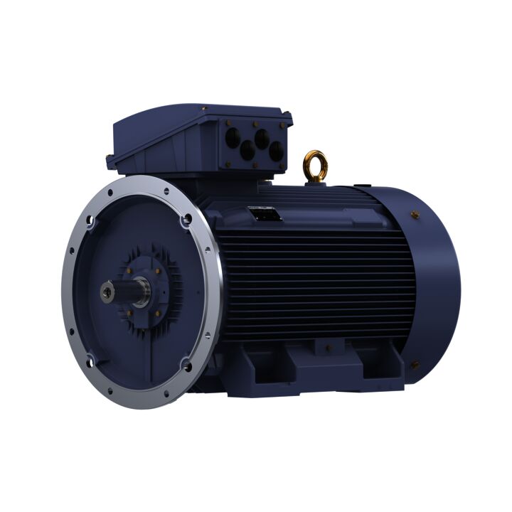 Cast Iron Motor, 425 HP, 3 Ph, 50 Hz, 400 V, 1500 RPM, 355L Frame, TEFC