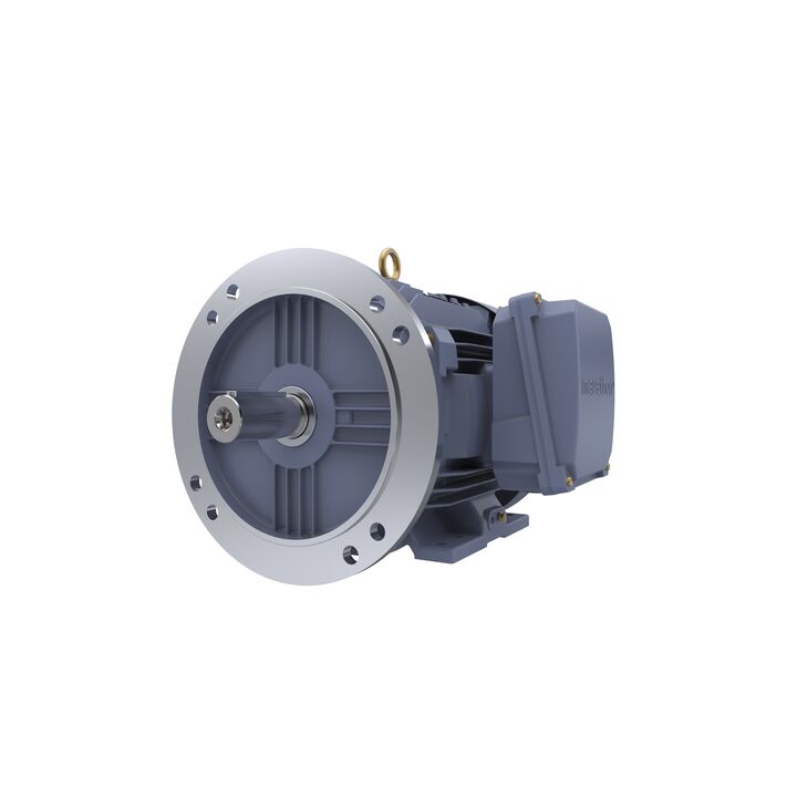 Cast Iron Motor, 7.50 HP, 3 Ph, 50 Hz, 380 V, 1500 RPM, 132S Frame, TEFC