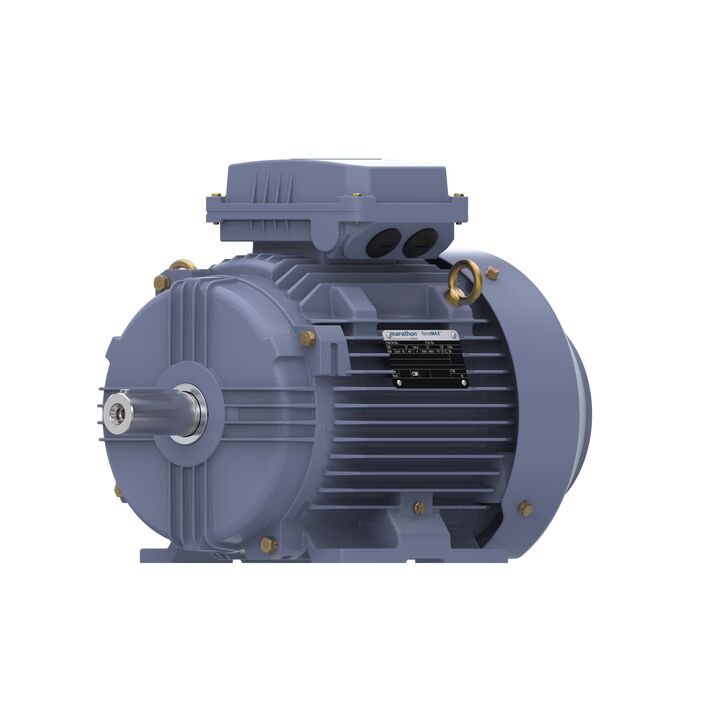 Cast Iron Motor, 7.50 HP, 3 Ph, 50 Hz, 380 V, 1500 RPM, 132S Frame, TEFC