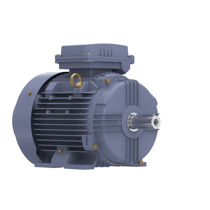 Cast Iron Motor, 7.50 HP, 3 Ph, 50 Hz, 380 V, 1000 RPM, 132M Frame, TEFC