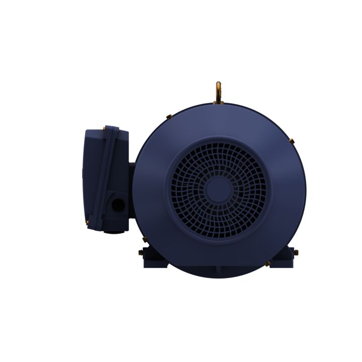 Cast Iron Motor, 7.50 HP, 3 Ph, 50 Hz, 400 V, 1500 RPM, 132S Frame, TEFC